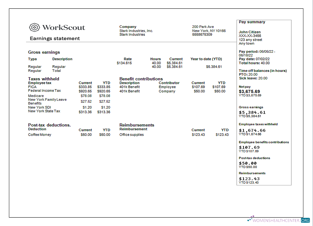 Download USA IT technologies company earning statement template in Word and PDF format Photoshop template